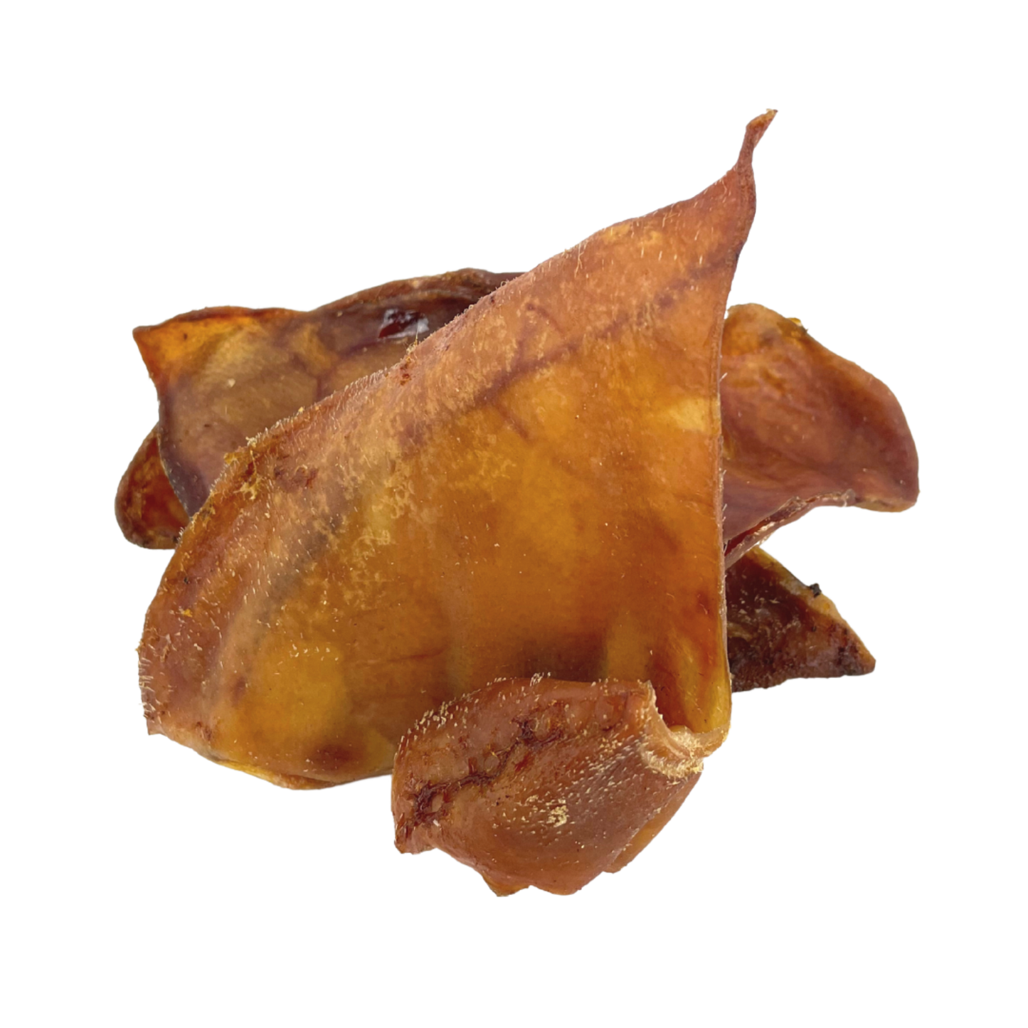 Small Premium Pig Ears